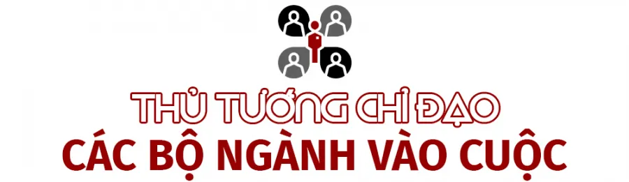 [HOT] Toàn cảnh đấu giá đất Thủ Thiêm 